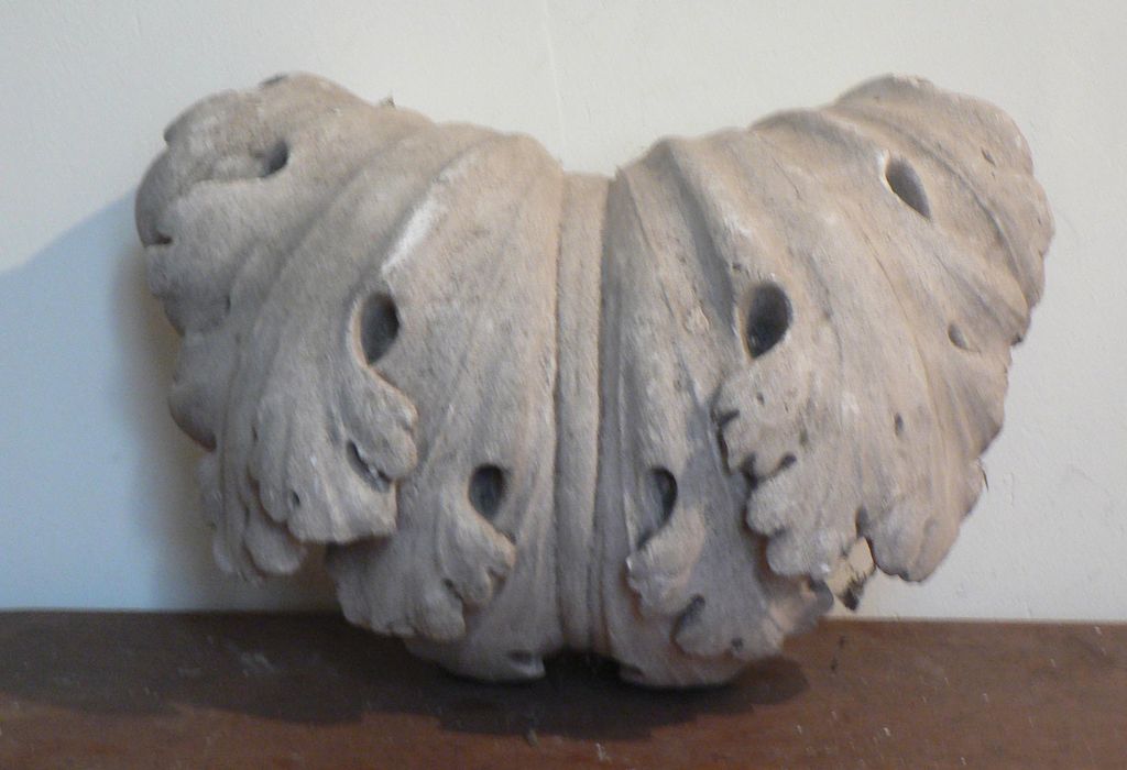 culot n°9