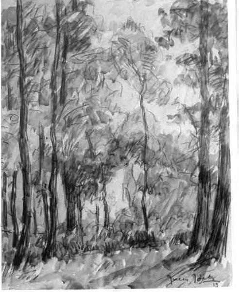 dessin : Sous-bois