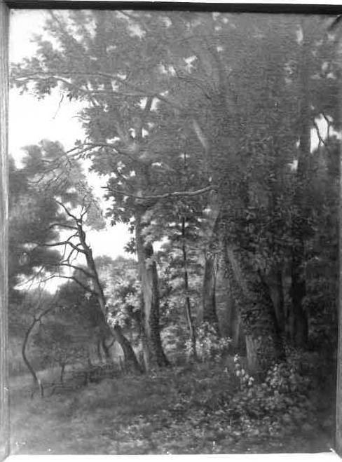 tableau : Grand sous-bois