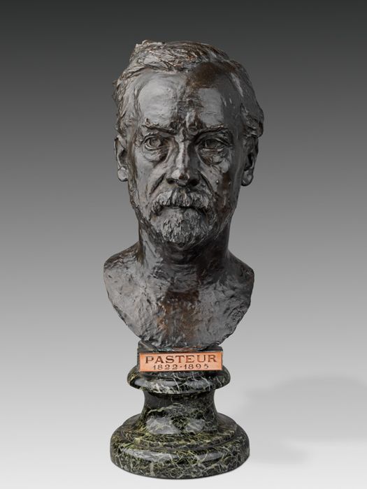 Buste de Louis Pasteur