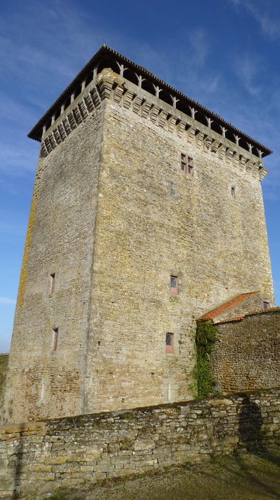 Château, façades sud et ouest, vue générale
