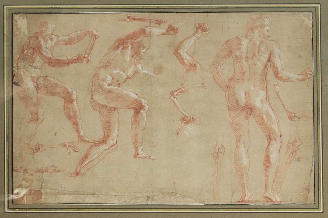 dessin : Etudes d'hommes nus entremêlés - © Ministère de la Culture (France), Conservation des antiquités et des objets d’art de Vendée – Tous droits réservés 