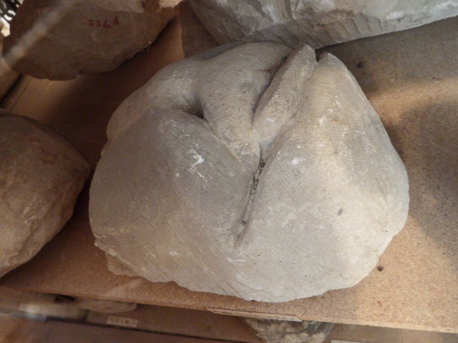 fragment sculpté : Tête de monstre (n°89) - © Ministère de la Culture (France), Conservation des antiquités et des objets d’art de l'Yonne – Tous droits réservés