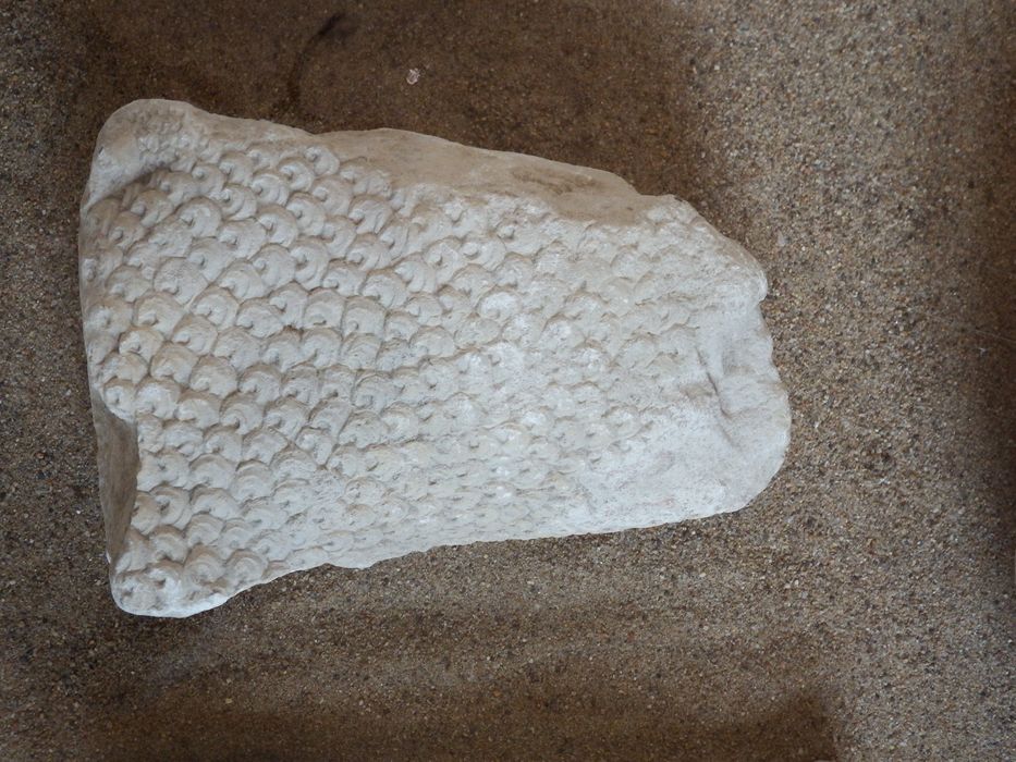fragment sculpté : Corps d'agneau (?) (n°239) - © Ministère de la Culture (France), Conservation des antiquités et des objets d’art de l'Yonne – Tous droits réservés