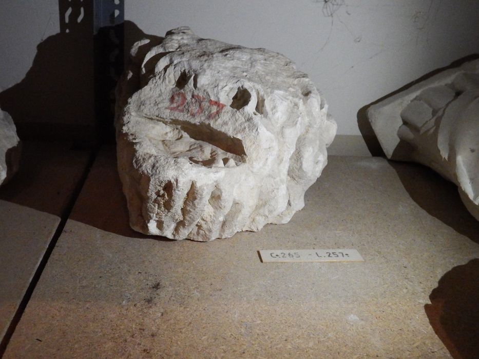 fragment sculpté : Tête de monstre (n°265) - © Ministère de la Culture (France), Conservation des antiquités et des objets d’art de l'Yonne – Tous droits réservés