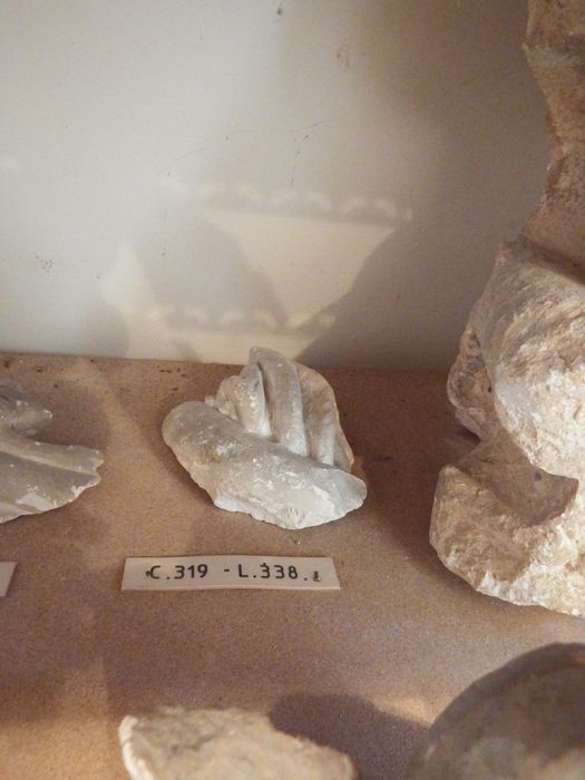 fragment sculpté à décor de tiges (n°319) - © Ministère de la Culture (France), Conservation des antiquités et des objets d’art de l'Yonne – Tous droits réservés
