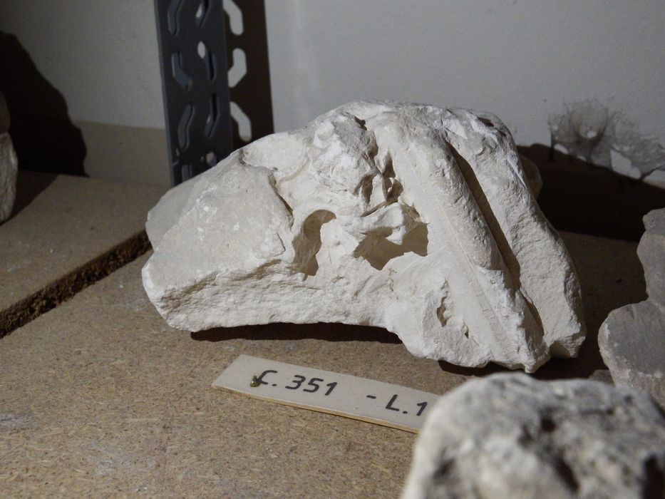 fragment de petit chapiteau (n°351) - © Ministère de la Culture (France), Conservation des antiquités et des objets d’art de l'Yonne – Tous droits réservés