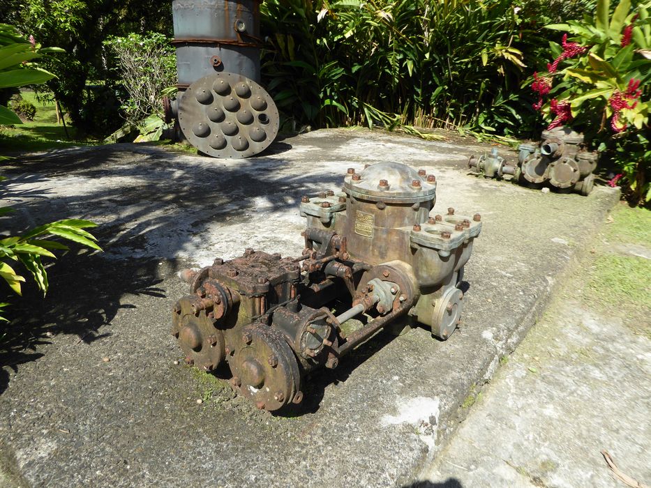 Ensemble de deux machines à pomper dites pompes à vapeur Burton. Vue d’ensembles des deux pompes à vapeur installées dans le jardin près de la colonne à distiller.