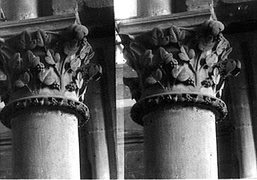 Chapiteau décoré de feuilles et de grappes, situé dans le triforium