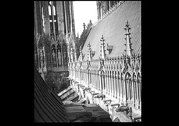 Façade sud et tour sud de la façade ouest, vues du bras sud du transept