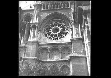 Rose du bras sud du transept