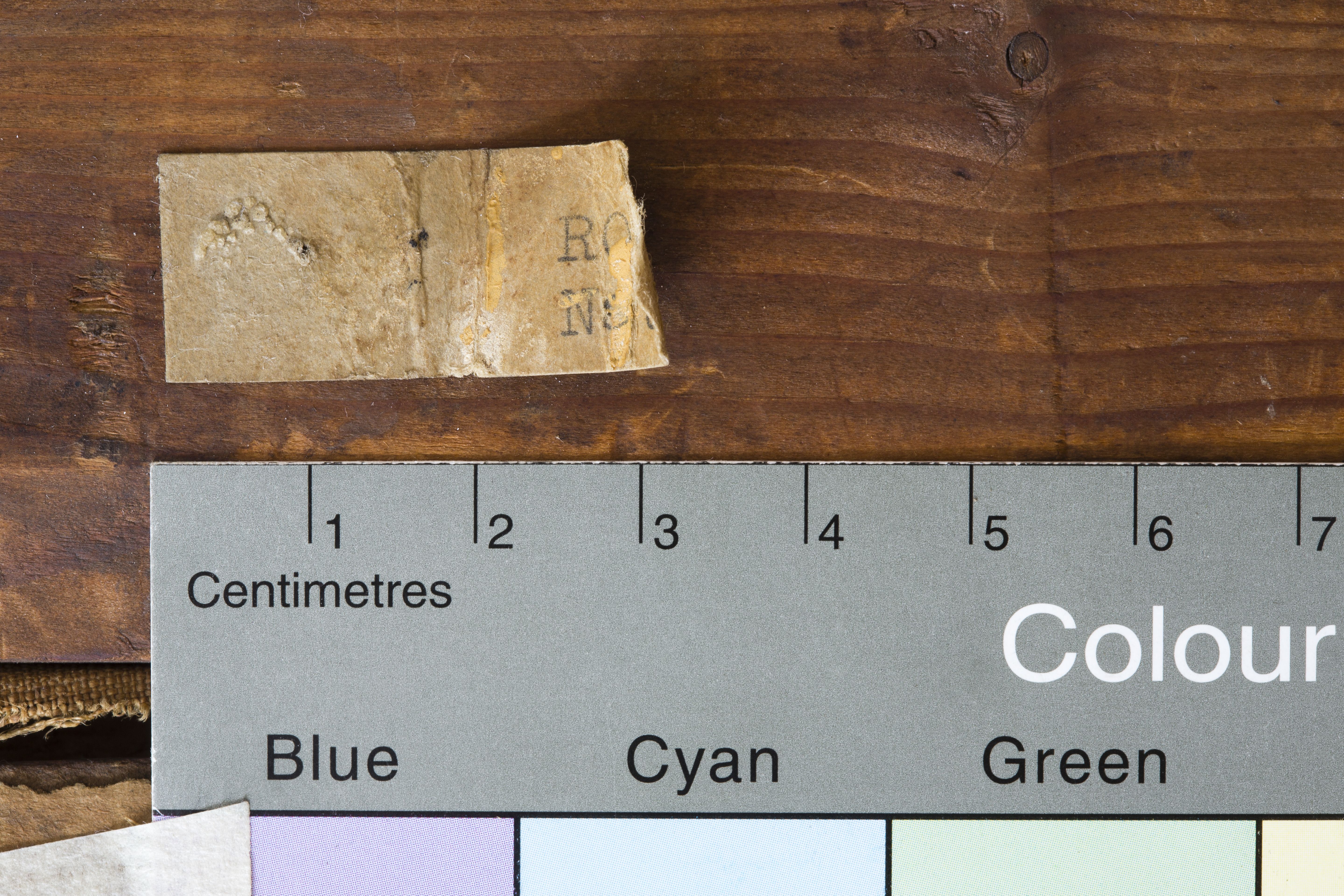 mnr/MNR00636/MNR636-copyright-Philippe_Petiot-detail_A5.jpg
