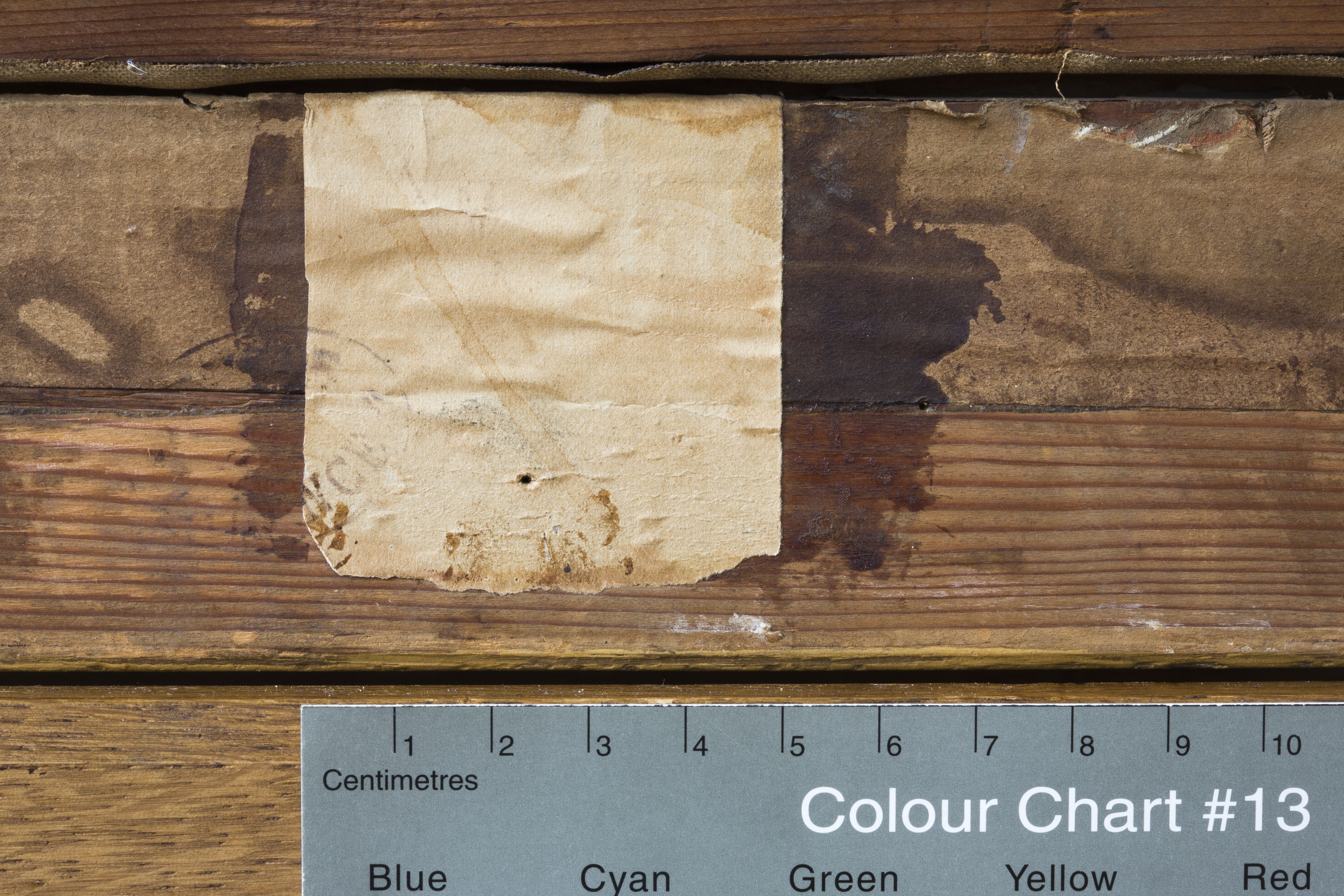 mnr/MNR00636/MNR636-copyright-Philippe_Petiot-detail_C3.jpg