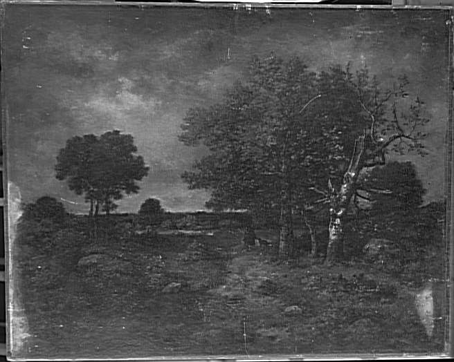 mnr/MNR00640/mnr640n.jpg