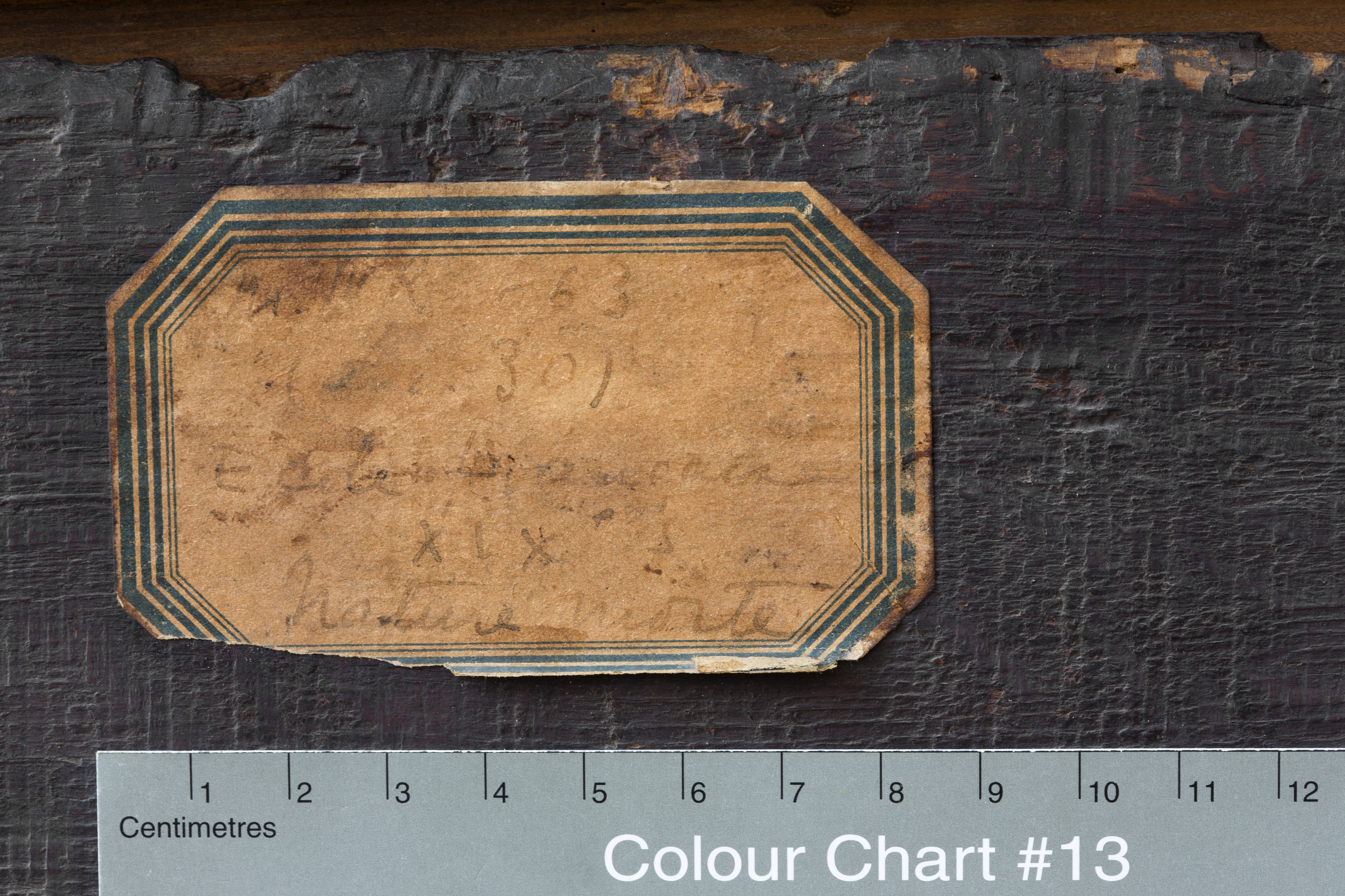 mnr/MNR00663/MNR663-copyright-Philippe_Petiot-detail_A1.jpg