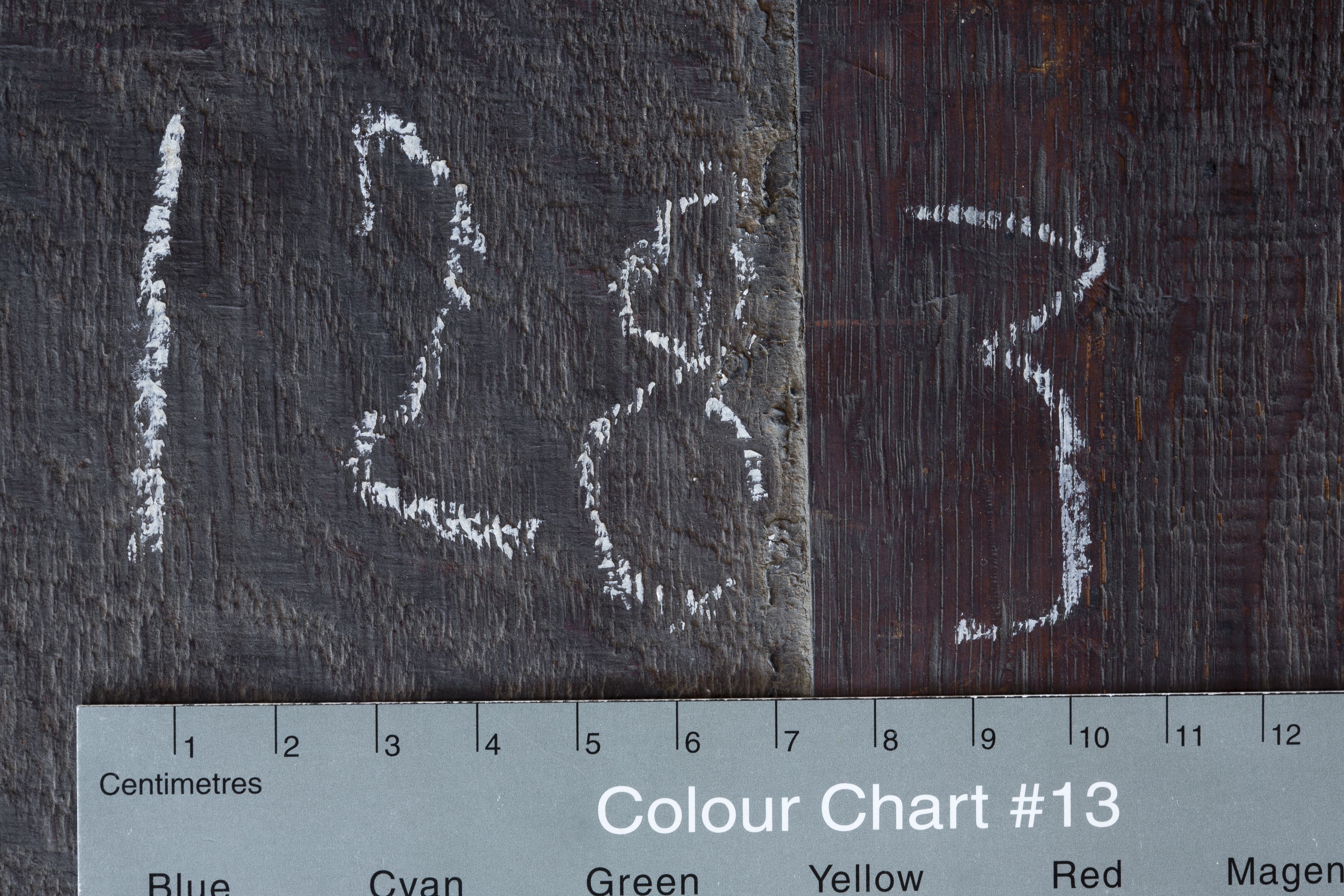 mnr/MNR00663/MNR663-copyright-Philippe_Petiot-detail_B2.jpg
