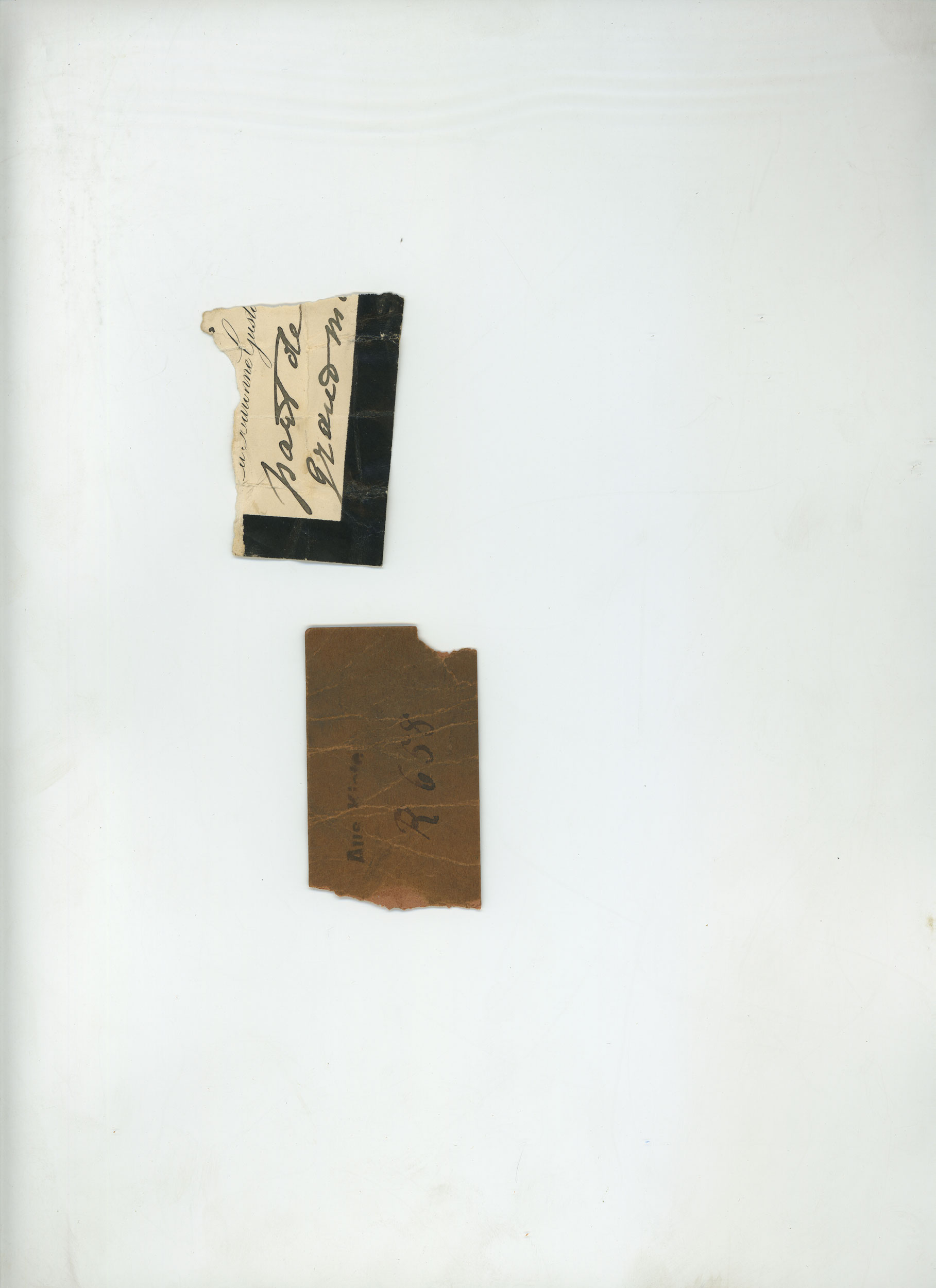 mnr/OAR00643/OAR-643.jpg