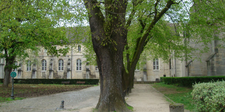 Musée archéologique