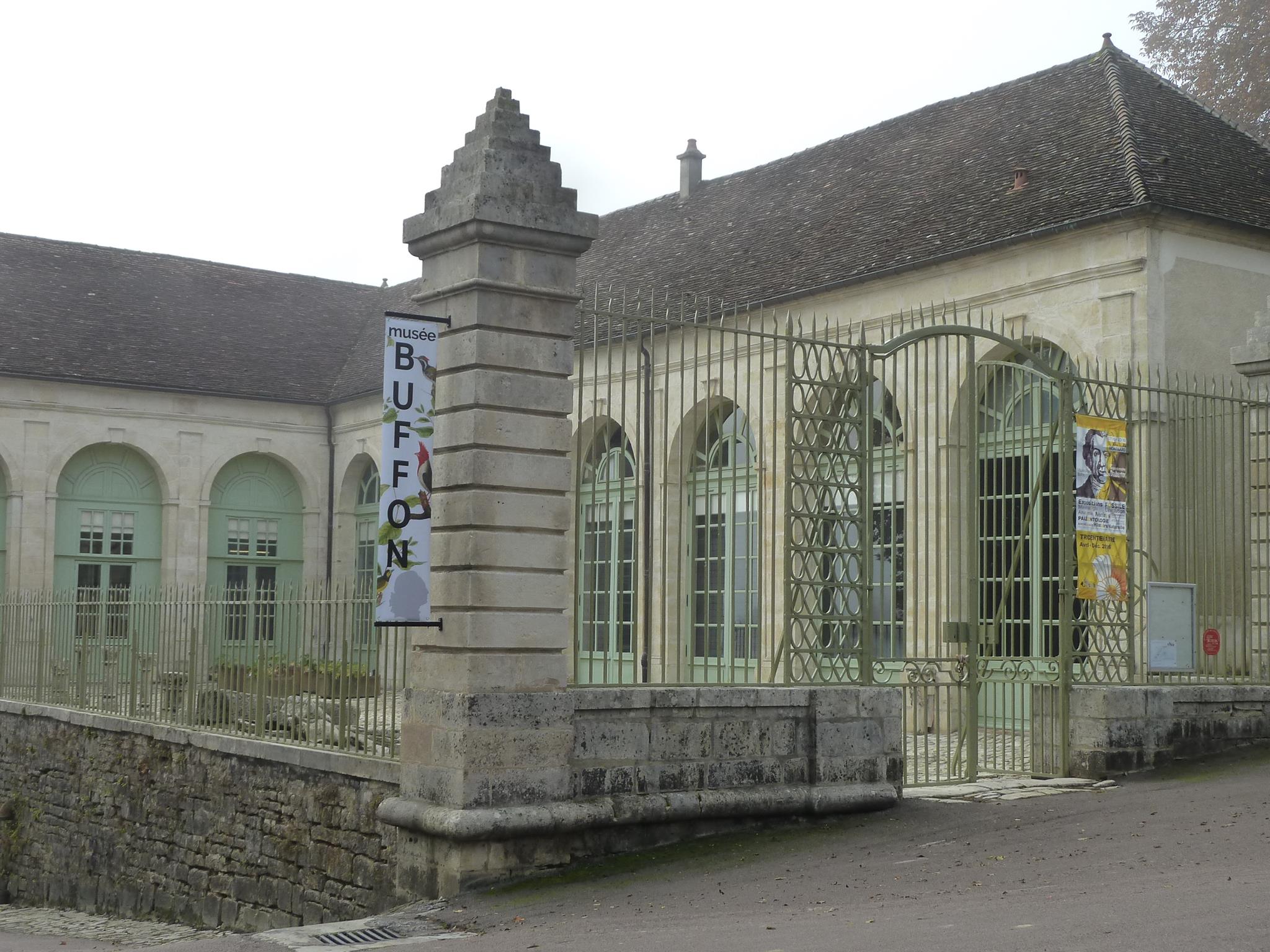 Musée Buffon