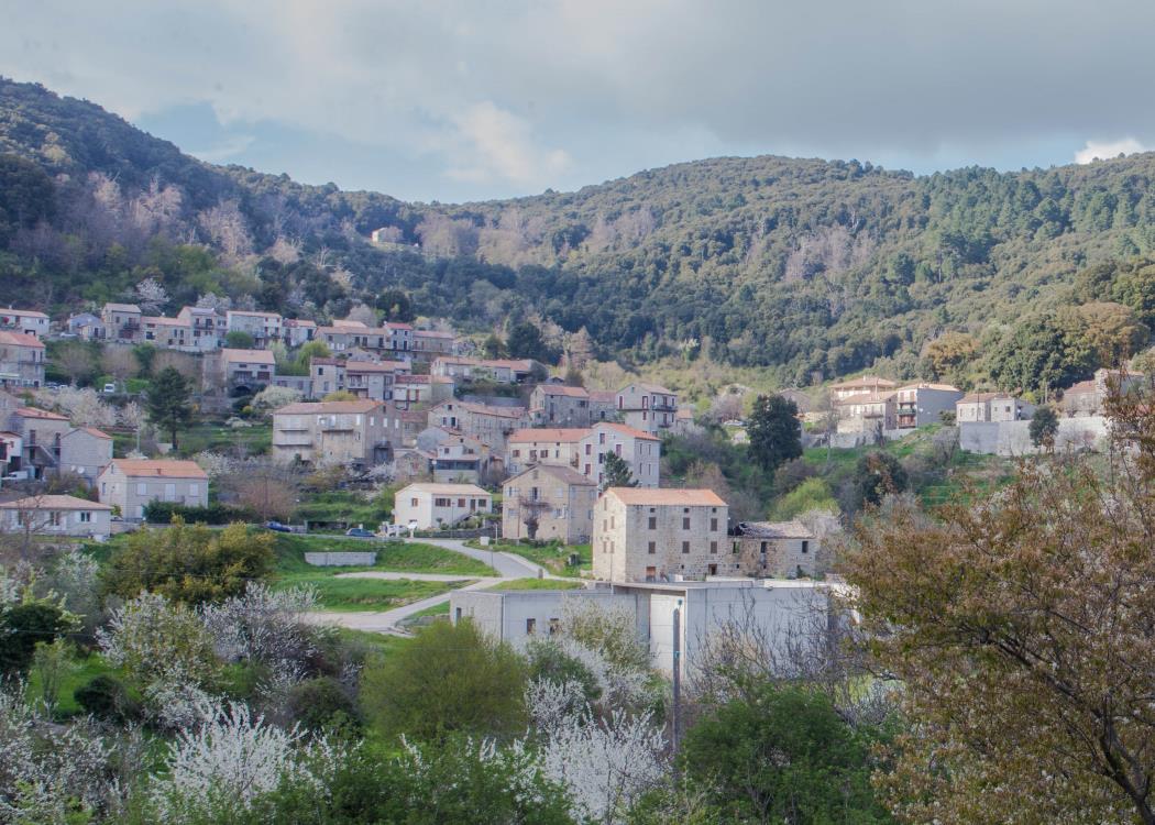 Musée de l'Alta-Rocca