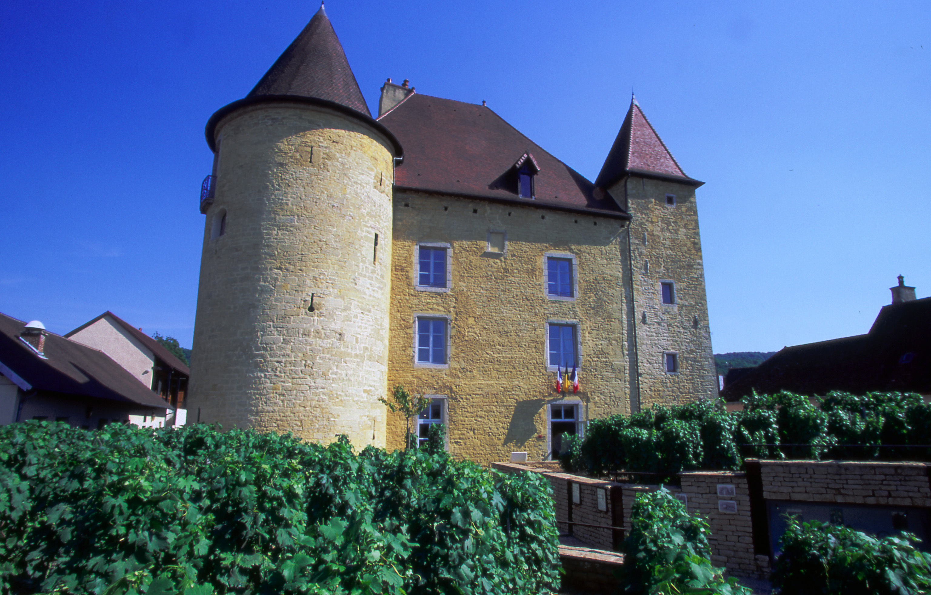 Musée de la Vigne et du Vin