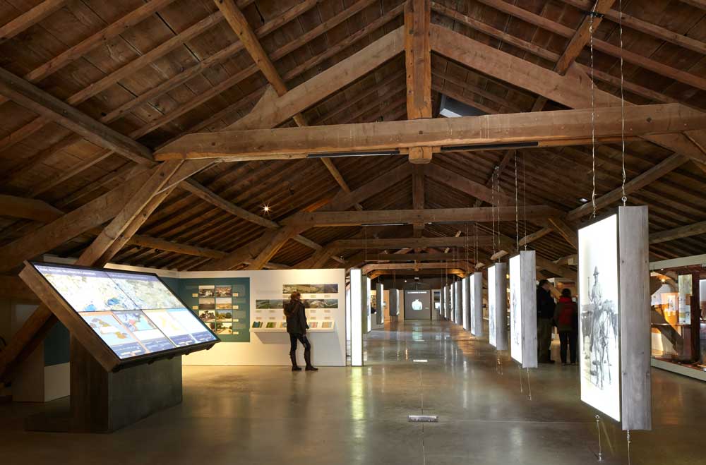 Musée camarguais