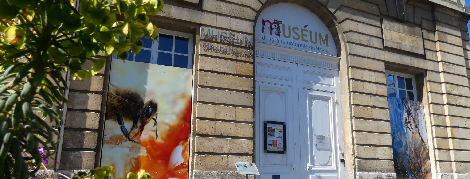 Muséum d'histoire naturelle