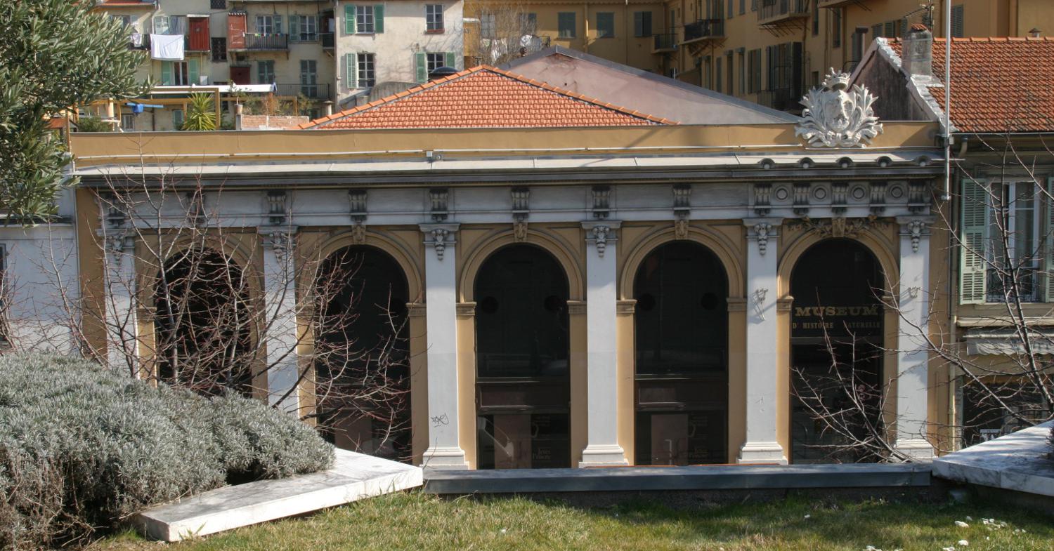 Muséum d'histoire naturelle