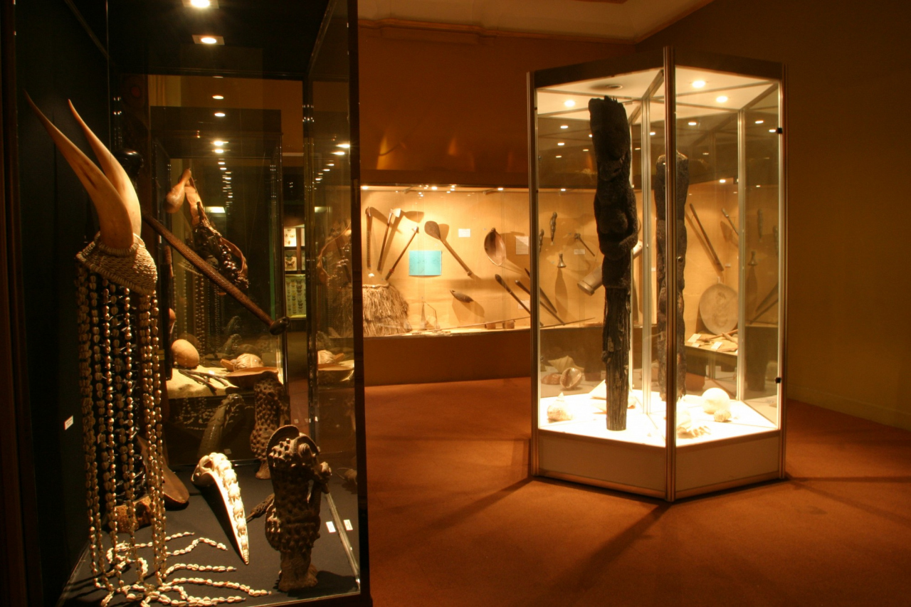 Muséum d'histoire naturelle